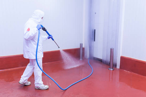 Best Building Exterior Washing  in Han, GA